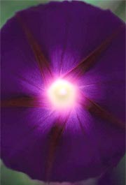 Photograph by John Glover